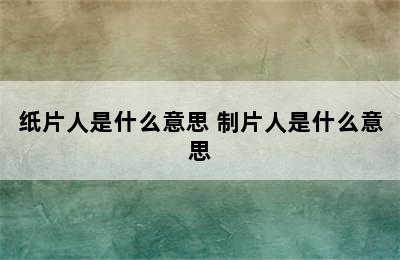 纸片人是什么意思 制片人是什么意思